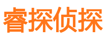 天元市私家侦探